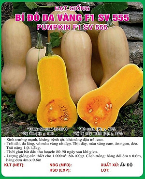 Hạt giống Bí đỏ da vàng F1 giống khỏe quả dẻo ngọt VTS169