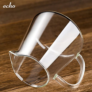 Ấm pha trà thủy tinh chịu nhiệt kèm lõi lọc Inox Echo Japan 650ml