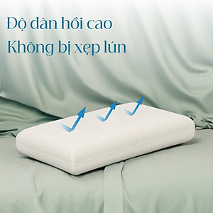 Gối Cao Su Vạn Thành Oval VTGCSO4056 (40 x 64 cm) - Trắng