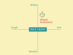 GẠO NHẬT SHIBATA KOSHIHIKARI - GẠO TRẮNG - XÁT DỐI