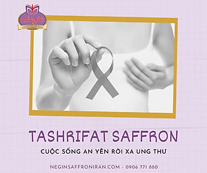 Nhụy hoa nghệ tây Tashrifat Saffron loại chuẩn Negin (1 Grams)