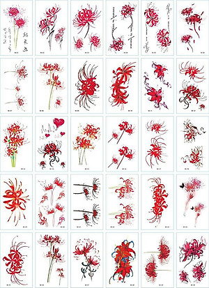 381 Hình Xăm Dán Tattoo Hoạ Tiết Hoa Bỉ Ngạn Hoa Hồng Cánh Bướm