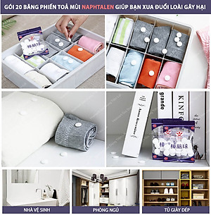 2 Gói 40 Viên Băng Phiến Để Tủ Quần Áo Long Não Thơm Đuổi Côn Trùng Gián Chuột Kiến Hiệu Quả