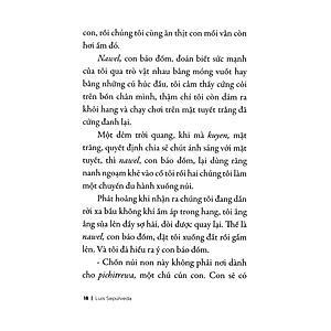 Sách Chuyện Con Chó Tên Là Trung Thành