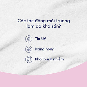 Sữa Tắm Serum Dove Pro-Ceramide Hoa Sakura và Muối Hồng Giúp Da Đàn Hồi Và Căng Bóng 500g