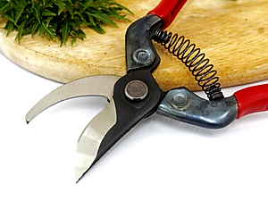 Kéo cắt cành cao cấp Nhật Bản Chikamasa PST-8 chiều dài lưỡi 45mm - lưỡi thép carbon chất lượng cao siêu bén - cắt ngọt, không bám dính, liền sẹo nhanh