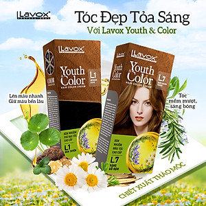Nhuộm Phủ Bạc Cao Cấp Lavox 60ml x2 - L1 - Đen