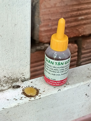 Chế phẩm diệt kiến sinh học, thuốc diệt kiến tận gốc SAMI SAMI hiệu quả 100%, an toàn cho sức khoẻ