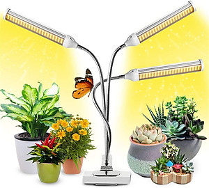 Đèn LED trồng cây, đèn trồng cây trong nhà, đèn trồng cây ban ngày