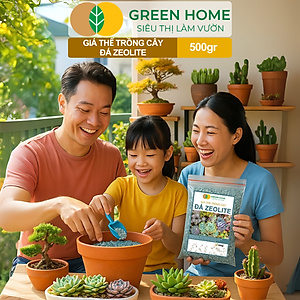 Đá Zeolite Greenhome, Bao 500GR, Giá Thể Trồng Bonsai, Xương Rồng, Đất Nền Hồ Thuỷ Sinh