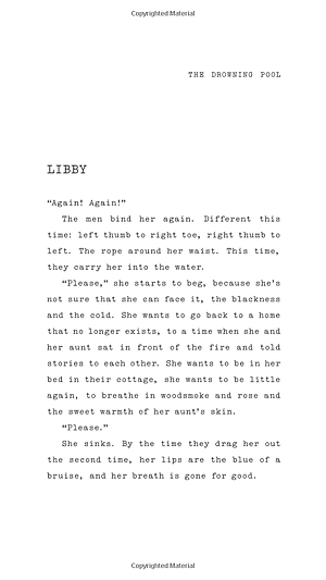 Into the Water Paperback