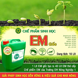Chế phẩm sinh học EM gốc (EM1). Men vi sinh Đại Học Nông Nghiệp 1 Hà Nội. Chứa hàng tỷ bào tử hữu hiệu. Từ 1 lít EM gốc sản xuất ra 40 lít EM thứ cấp. Can 10 lít. HSD: 2 năm