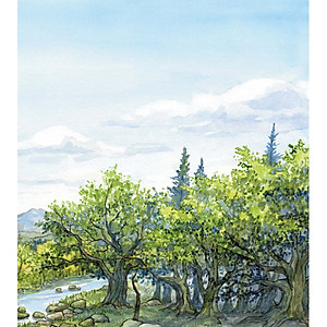 Sách Những Cuộc Phiêu Lưu Kì Thú