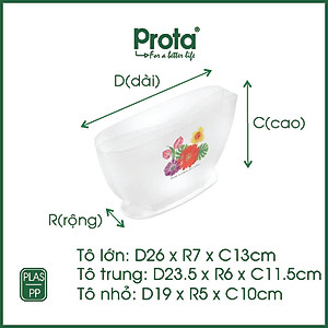 Combo 2 tô nhúng bánh tráng 3 ngăn hoa lớn Prota