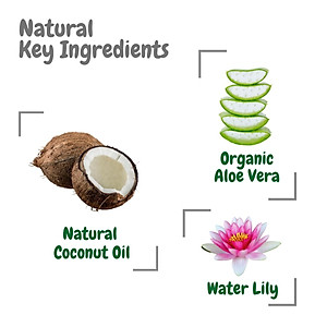 Nước Rửa Tay Tạo Bọt Aleva Naturals- 300ml