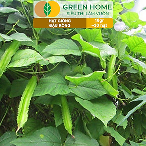 Hạt Giống Đậu Rồng Greenhome, Gói 10gr~30 hạt, Dễ Trồng Quanh Năm, Nảy Mầm Cao, Thu Hoạch Nhanh, Năng Suất Cao T08