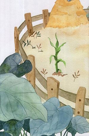 Sách Từ Những Hạt Mầm: Gà Choai Trồng Bắp