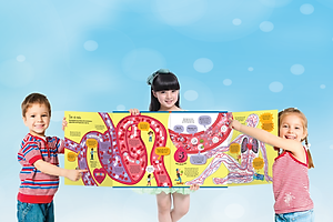 Sách Tương Tác - Big Book - Cuốn Sách Khổng Lồ – Đinh Tị (Nhiều chủ đề)