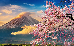 Bộ tranh xếp hình cao cấp 1000 mảnh ghép – Núi Phú Sĩ, Nhật Bản (50x79cm)