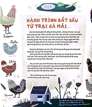 Sách Quả Trứng Và Hơn Thế Nữa - Dưới Góc Nhìn Sinh Học Và Văn Hóa, Kèm Theo Các Trò Chơi Và Thực Hành Thú Vị