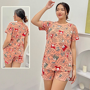 Đồ bộ mặc nhà quần đùi DN2 - Đồ bộ cotton quần đùi mặc nhà - Bộ đồ nữ mặc nhà