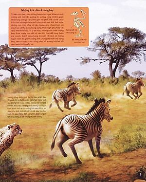 Sách Di Chuyển Và Di Cư