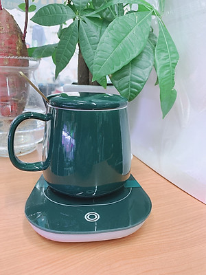 CỐC UỐNG NƯỚC, TRÀ SỨ CAMELIA KÈM ĐẾ HÂM TẶNG KÈM THÌA MẠ VÀNG -  ANTH431