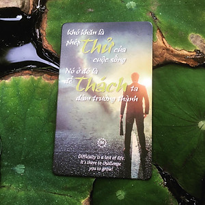 Bộ 52 Bookmark Độc Đáo - Fususu Card Green từ #1 tới #52 - Tuyển Tập Câu Nói Hay Tạo Động Lực - Hình Ảnh Châm Ngôn Ý Nghĩa Truyền Cảm Hứng Sống - Đựng Trong Hòm Kho Báu Sáng Tạo Dễ Thương