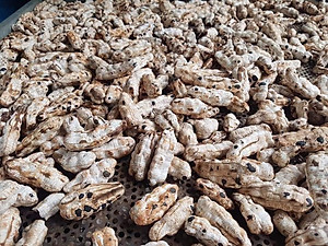 Đặc Sản Kon Tum - Quả Chuối Cô Đơn Khô Hiệu Đặc Sản Và Dược Liệu Kon Tum Thơm Ngon Đóng Hút Chân Không (1Kg) - OCOP 3 Sao