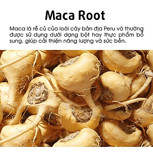 Thực phẩm bảo vệ sức khỏe hỗ trợ tăng cường sinh lực nam giới ALLTIMES CARE KANGAROO 6000mg PLUS - Hộp 100 viên