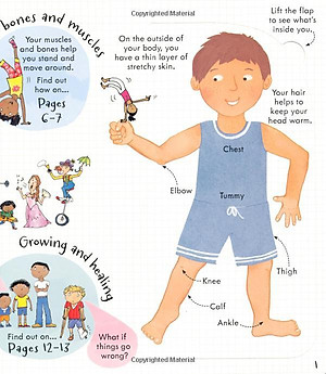 Sách Usborne Look inside Your Body