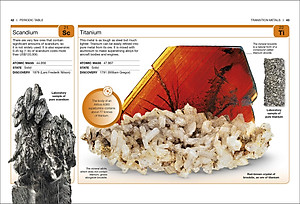 Periodic Table: Facts At Your Fingertips (Pocket Eyewitness)