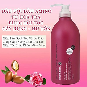 Dầu gội hoa trà phục hồi tóc hư tổn salon link 1000ml/chai
