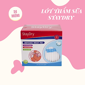 Miếng Thấm lót sữa StayDry (24 miếng)