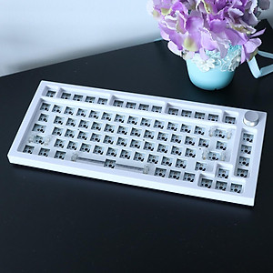 tachiuwa 68Keys Tester68 Mechanical Keyboard Kit ,Two Modes 2.4G/Bluetooth 5.0