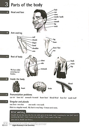 English Vocabulary in Use: Elementary Book with Answers Reprint Edition: Vocabulary Reference and Practice (CD-ROM)