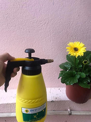Bình tưới cây - Bình xịt 2 Lit với công nghệ và nhựa chất lượng cao cấp