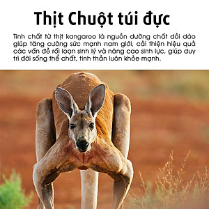 Thực phẩm bảo vệ sức khỏe hỗ trợ tăng cường sinh lực nam giới ALLTIMES CARE KANGAROO 6000mg PLUS - Hộp 100 viên