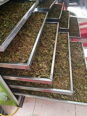 Bông đu đủ đực sấy lạnh xanh đẹp đặc sản Kon Tum