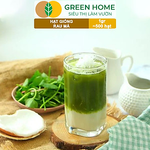 Hạt Giống Rau Má Greenhome, Gói 1g, Dễ Trồng Quanh Năm, Nảy Mầm Cao, Thu Hoạch Nhanh, Năng Suất Cao R12