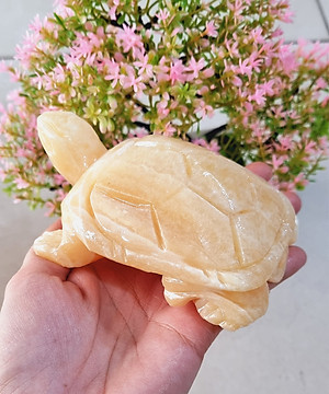 Cụ Rùa phong thủy 12cm đá tự nhiên tạc tay