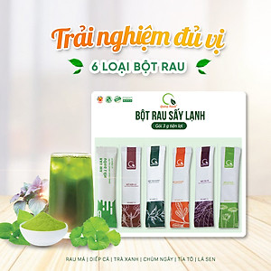 Bột rau tiện lợi Quảng Thanh - 6 vị với 6 loại bột rau nguyên chất, bổ sung dưỡng chất, thanh lọc cơ thể (Rau Má - Diếp Cá - Tía Tô - Lá Sen - Trà Xanh - Chùm Ngây)
