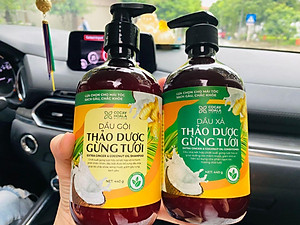 Bộ dầu gội thảo dược gừng dừa Cocayhoala hỗ trợ trị gàu, giảm nấm ngứa, dung tích 440g/chai- 95% thành phần từ gừng tươi hữu cơ còn nguyên xơ gừng, hỗ trợ trị rụng tóc, kích thích mọc tóc vượt trội