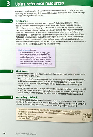 English Idioms In Use Advanced Book With Answers (Vocabulary In Use)