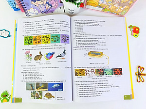 Sách - Củng Cố và Ôn Luyện Khoa Học Tự Nhiên Lớp 6 - Dùng chung cho các bộ SGK hiện hành - ndbooks