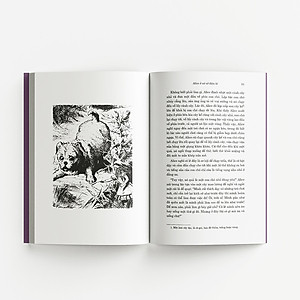 Sách Classic - Alice ở xứ sở diệu kì & Alice ở xứ sở trong gương