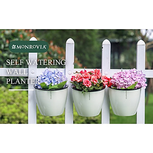 Chậu tự tưới treo tường MONROVIA, trang trí trong nhà, ban công, tiện lợi, sang trọng, tiêu chuẩn châu Âu