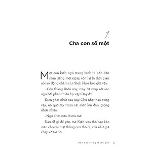 Sách Văn học thiếu nhi - Kho báu trong thành phố