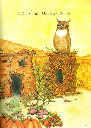 Sách Nhà Của Ai Cao Hơn?