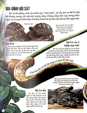 Sách Bách Khoa Tri Thức Về Khám Phá Thế Giới Cho Trẻ Em - Reptiles - Bò Sát